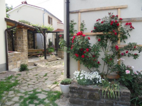 Отель Apartma Istra Zora  Церовлье